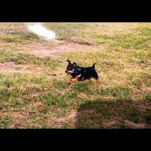 Meet your Posher, Doug